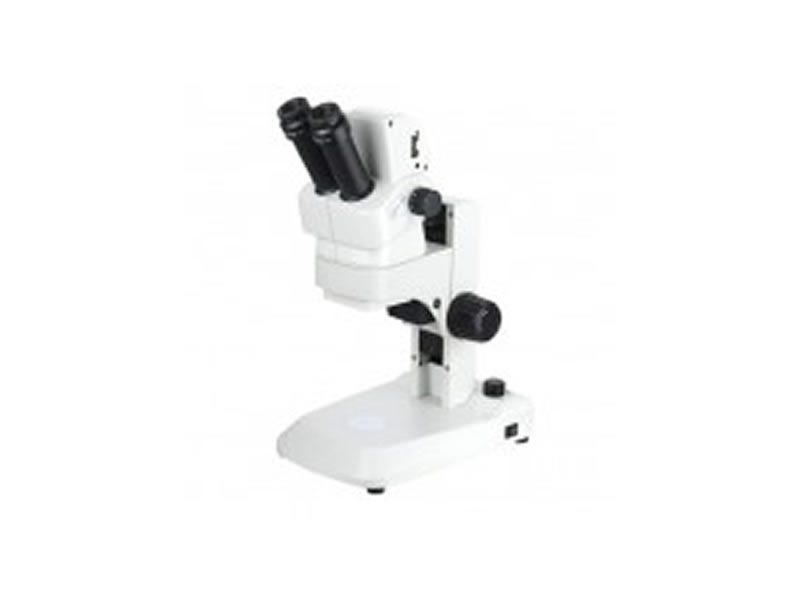 Petro EZ4 5MP Digital Microscope 
